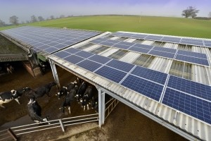 wyke farms solar