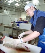 Funding opportunity for seafood manufacturers