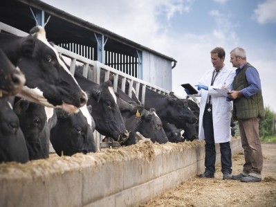 Aldiss: 'It is clear that the real issue at hand is not a shortage of veterinarians but a profound lack of vision and leadership within the sector.' Image: Getty, Mounty Rakusen