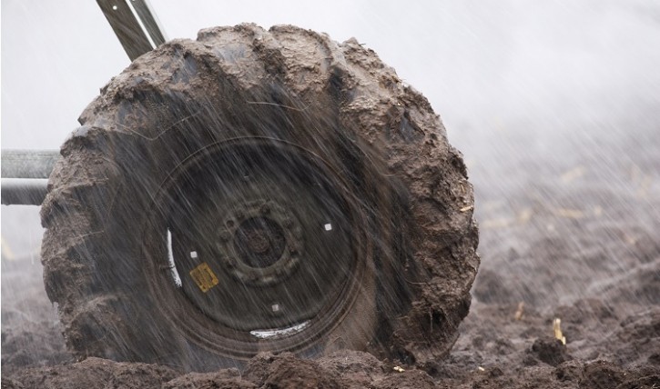 A 'washout winter' has threatened UK food security. Image: Getty, ChuckSchugPhotography