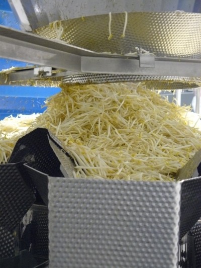 French bean sprout manufacturer automates packaging line 