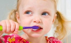 New animal research has found that Bisphenol A in plastic food containers could weaken children’s teeth