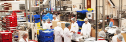 Creative Confectionery operates five production lines