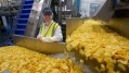 Around 100 people are employed at the Pipers Crisps facility in Lincolnshire. Credit: PepsiCo