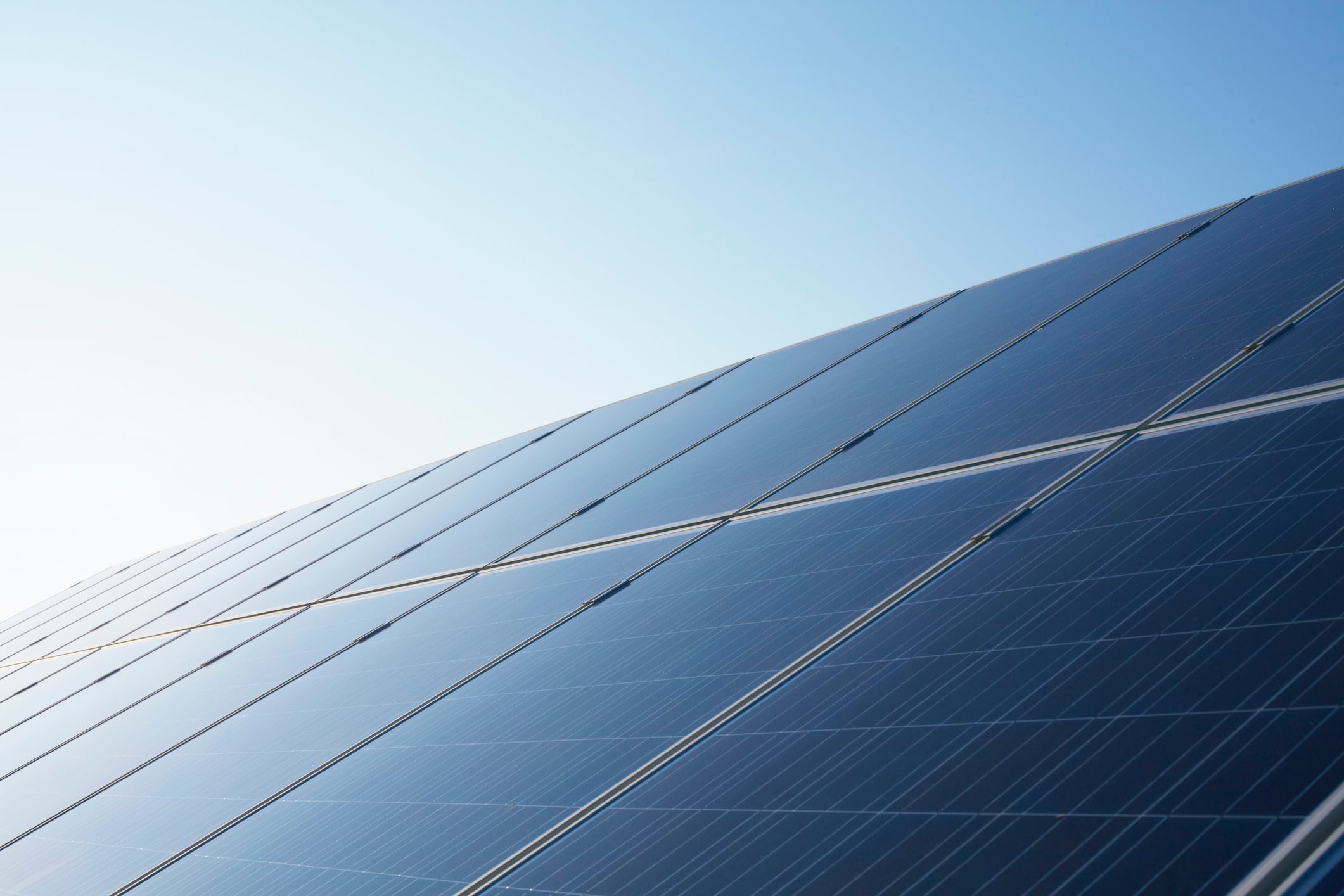 LWC Drinks solar panel project to boost sustainability
