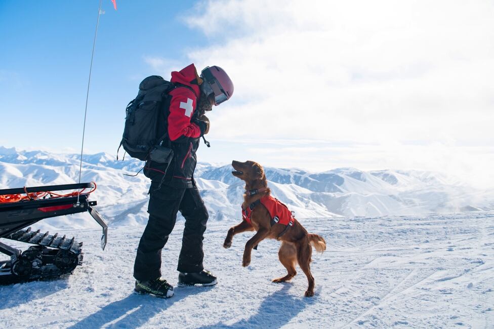 Nulo has entered the UK market, broadening its reach internationally.