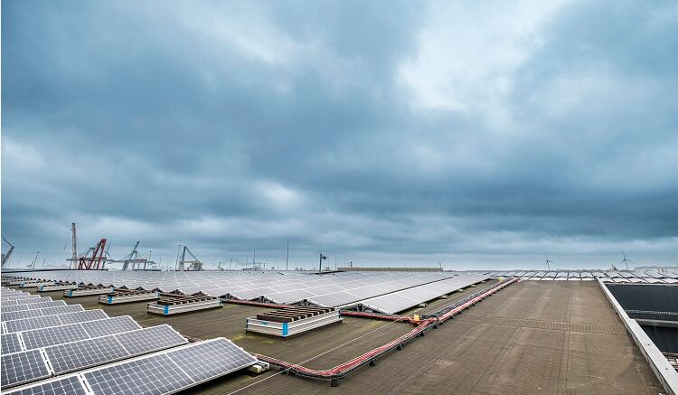OFI to open green powered cocoa bean warehouse