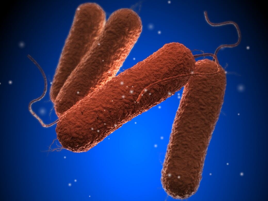 Breakthrough in salmonella detection to aid recalls