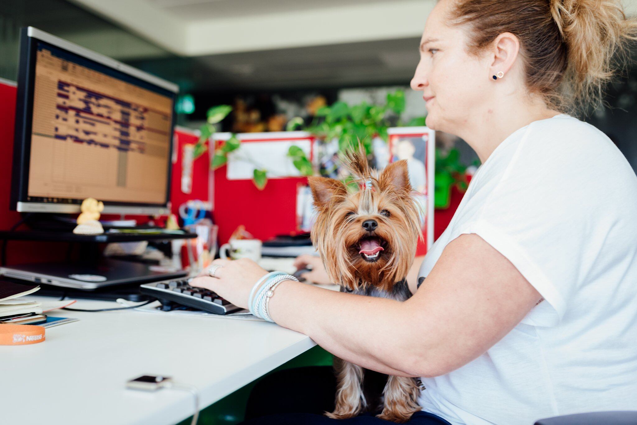 PAW_Purina_Office_3.jpg