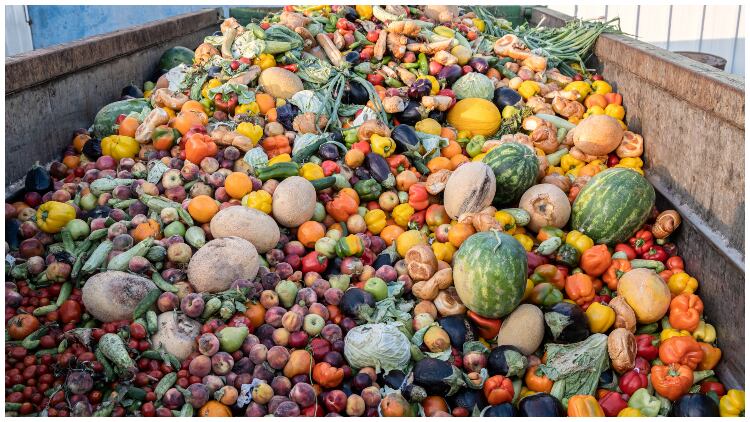 Novel ways of reducing food waste in F&B manufacturing