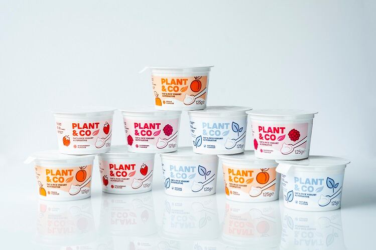 plain-white-background-with-lids-on.jpg