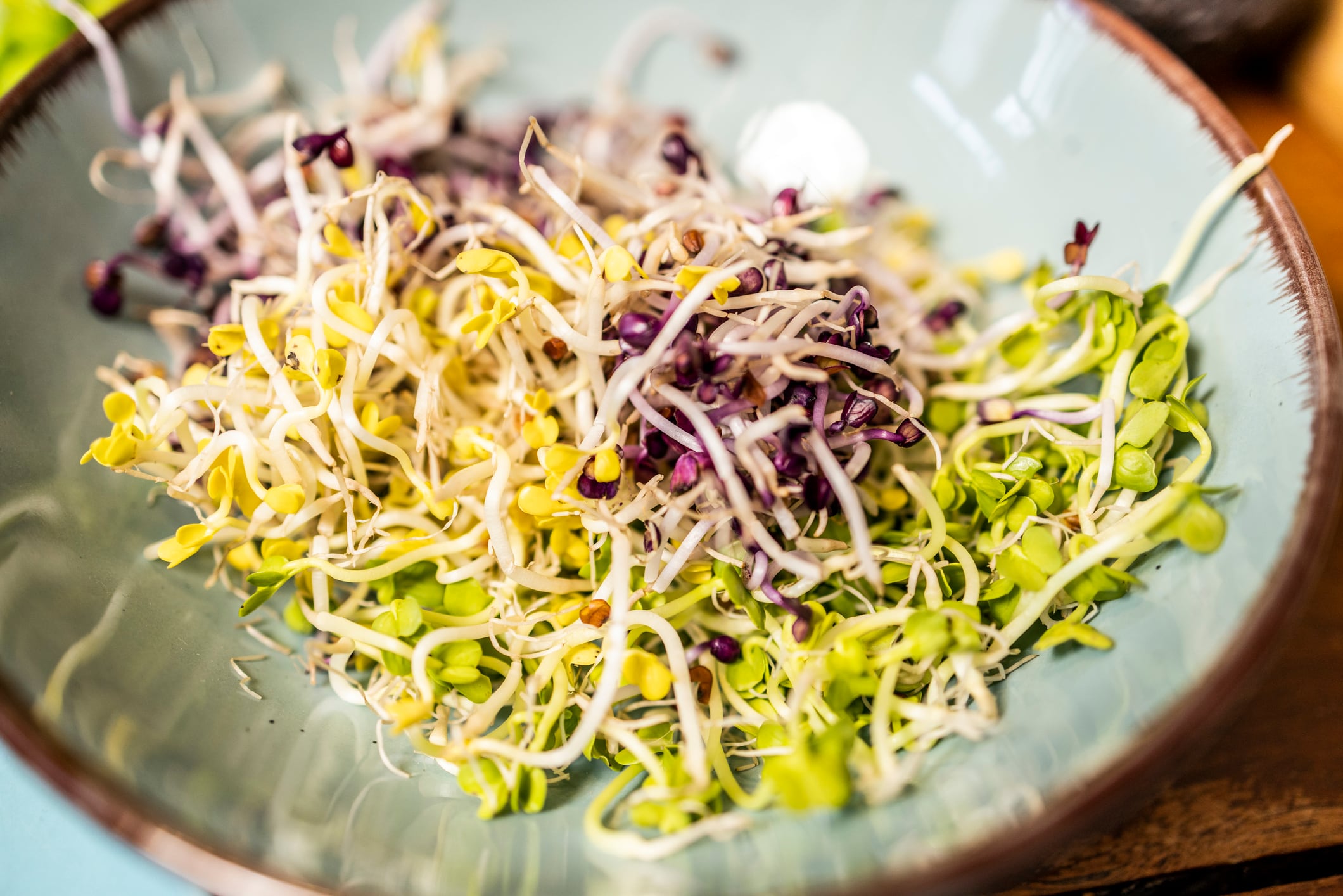 Good4U recalls sprout packs over salmonella fears