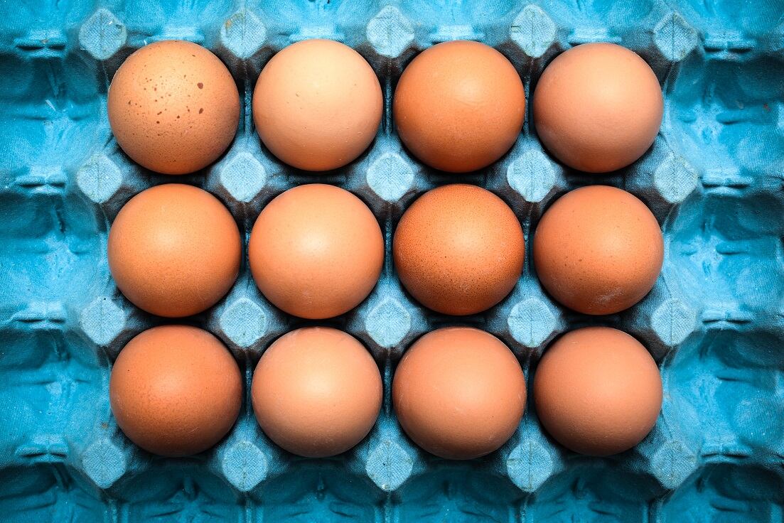 Egg producers hail Government tariff proposals