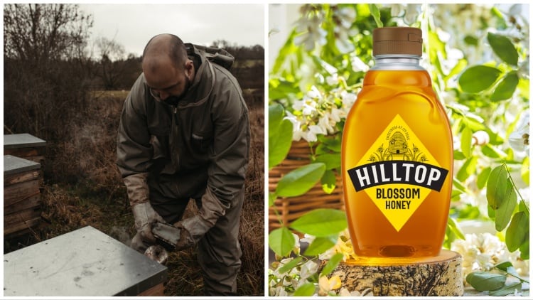 Hilltop undergoes major rebrand and appoints new marketing director