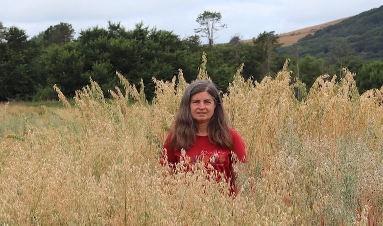 Sustainable pulse crops receive £3m funding boost