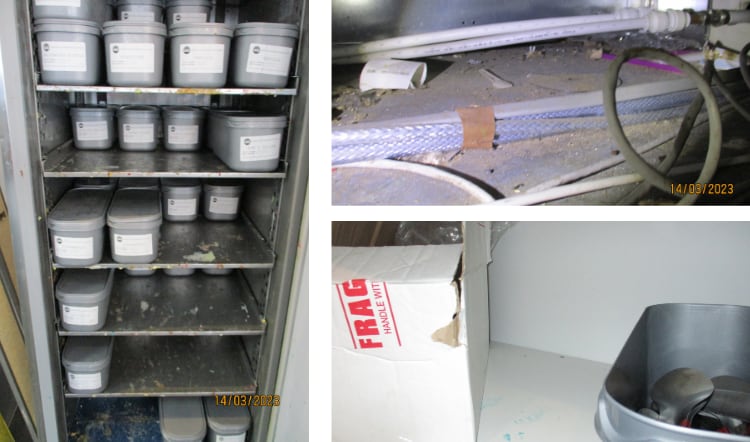 Ice cream maker fined after failing to control pests