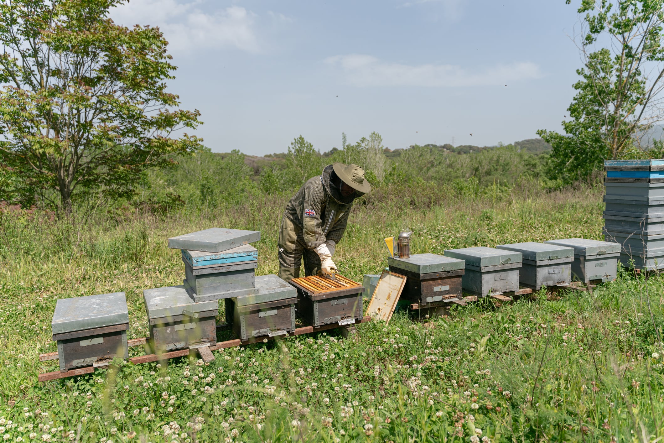 A beekeeper at work.