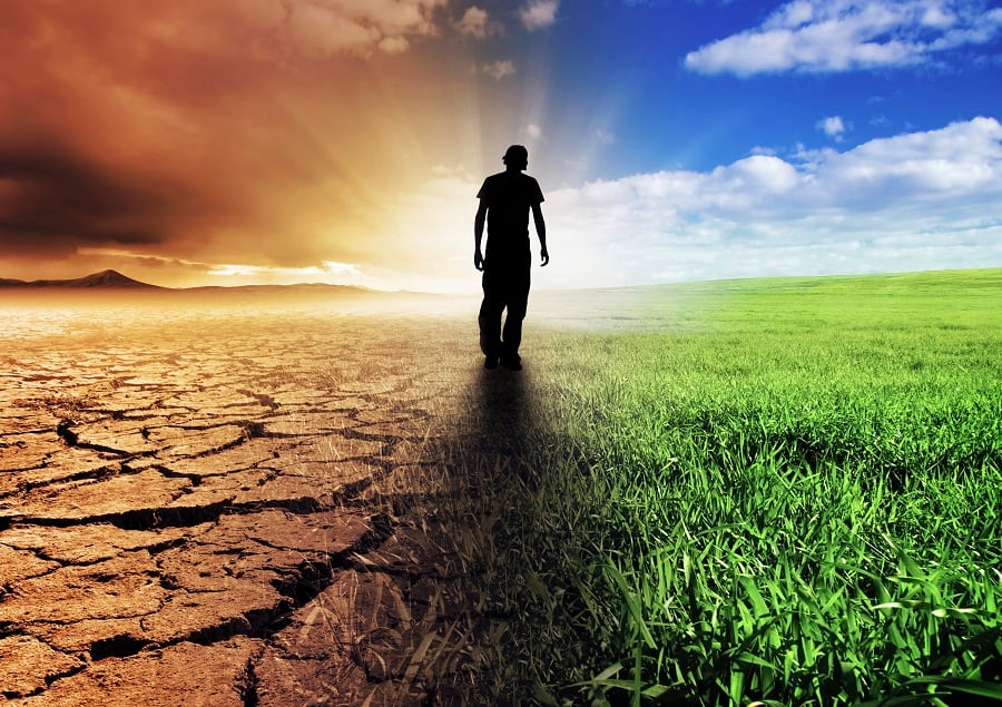 Food industry net-zero report: 'we can't do it alone'