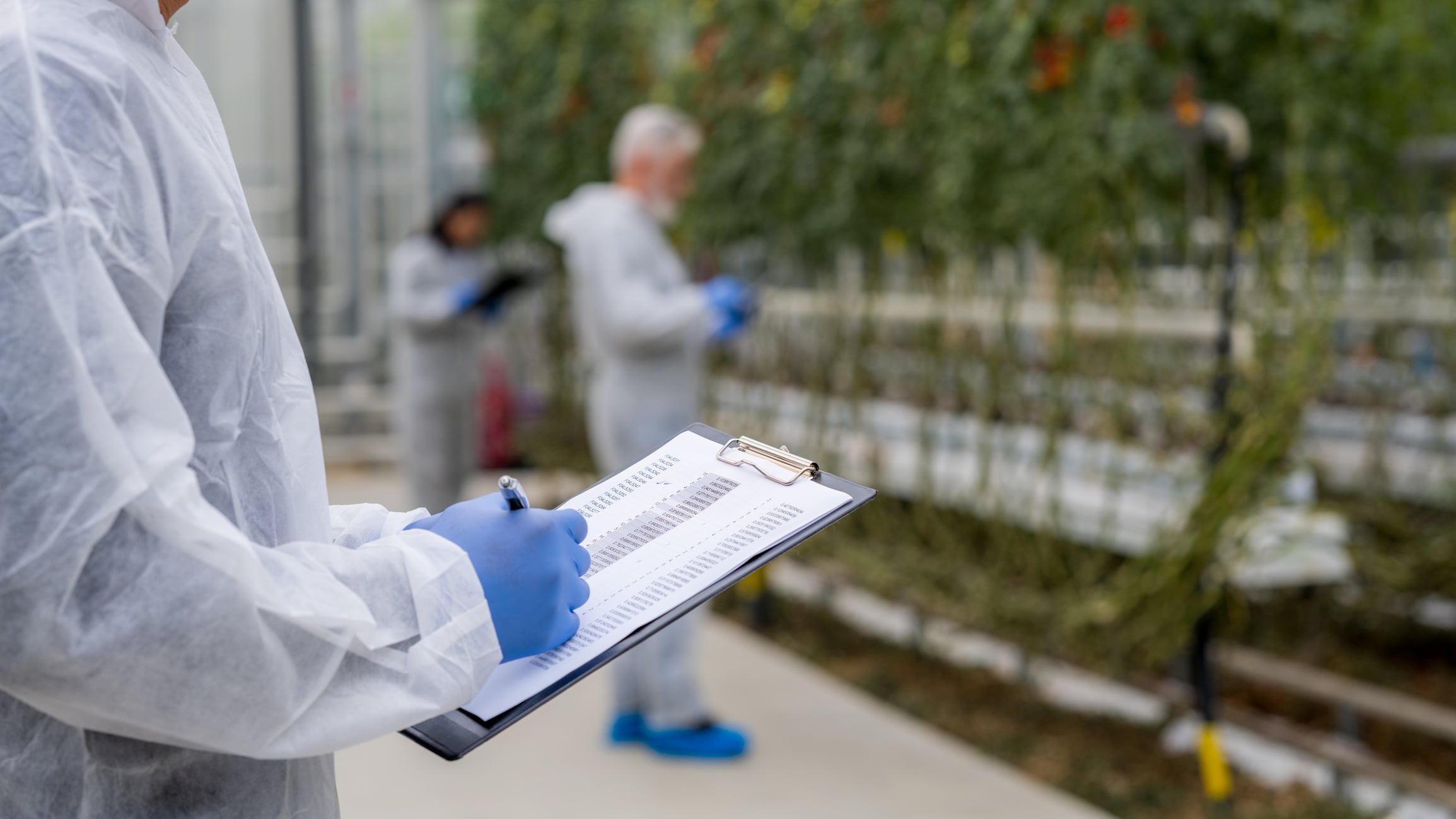 £650K awarded to Food Safety Research Network to fund next 3 years