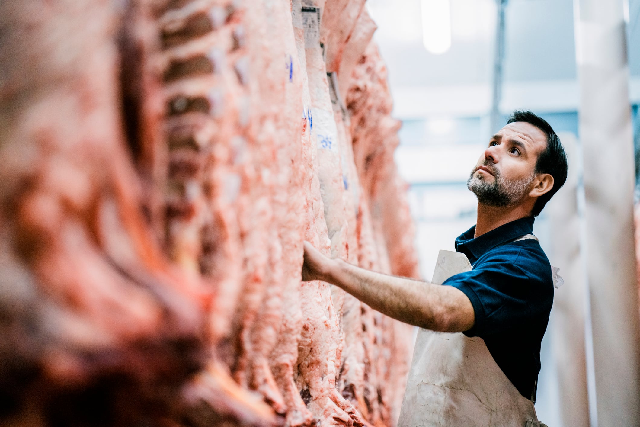 Meat industry body launches legal challenge against FSA