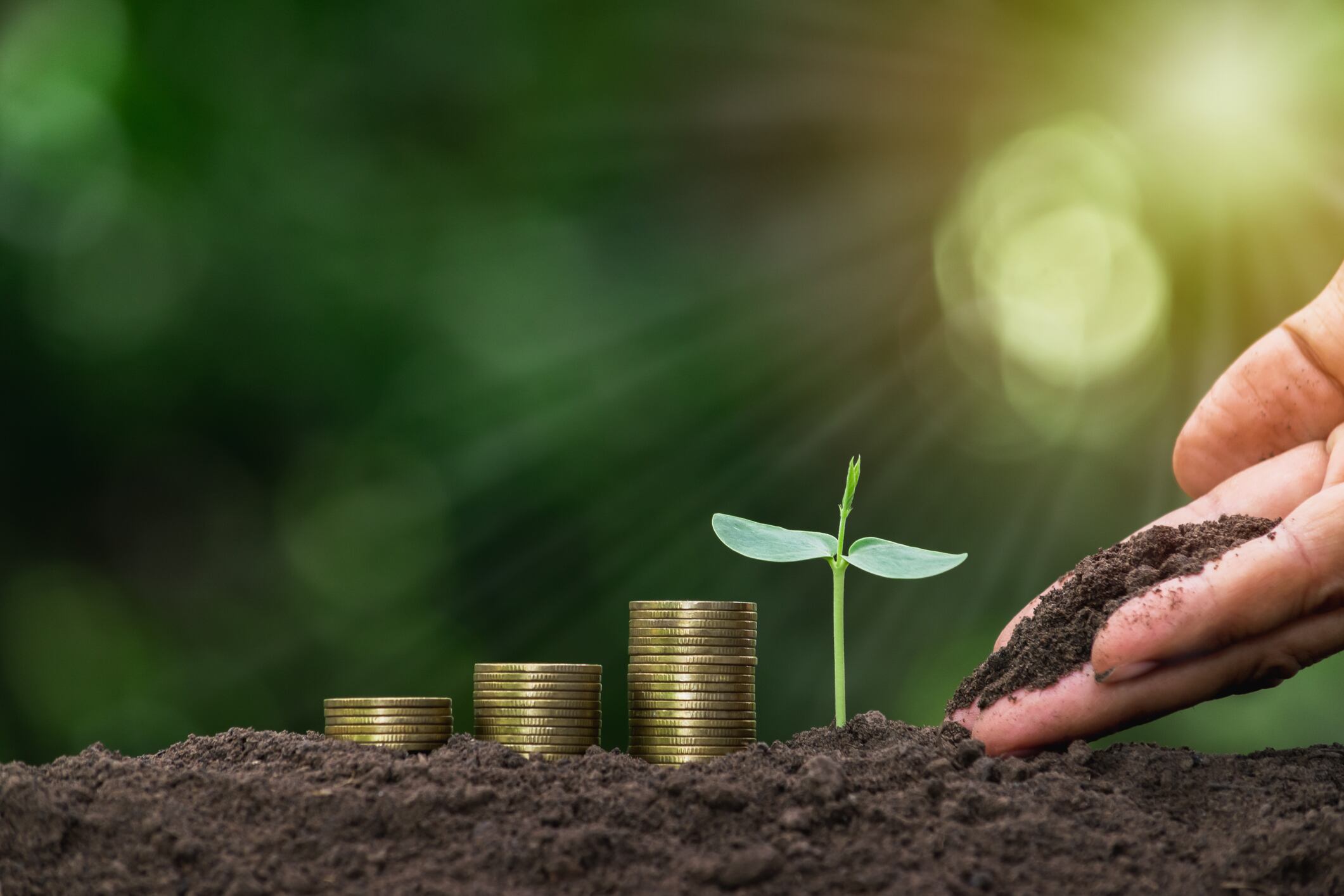£1m fund to reward farmers for carbon insetting action
