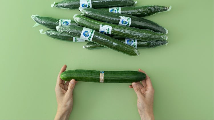 Saveggy's edible wrap will be trialled on cucumbers during a one-month pilot.