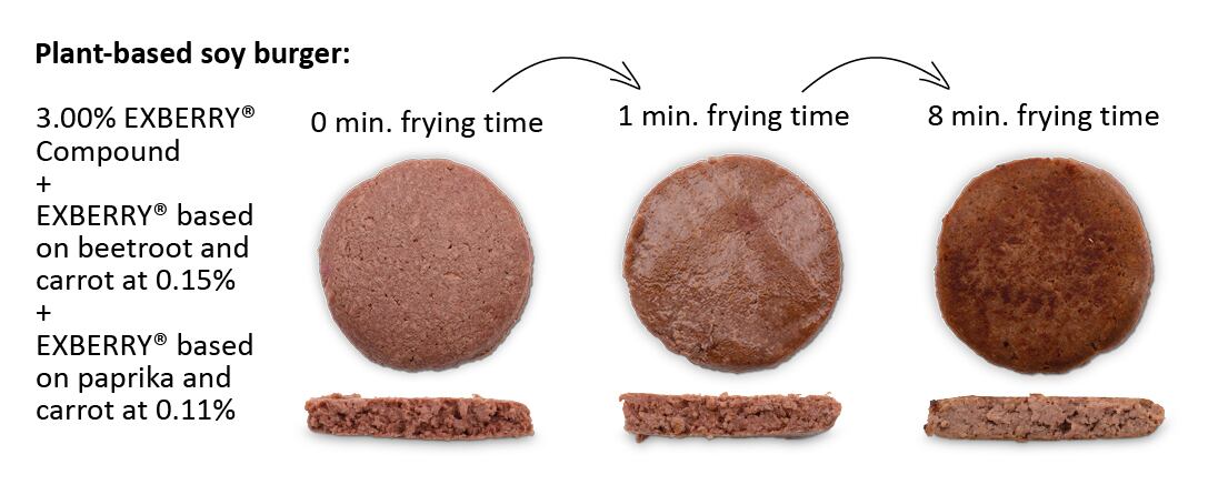 220488_EXBERRY_plant_based_soy_burger_300dpi_DIGI.jpg