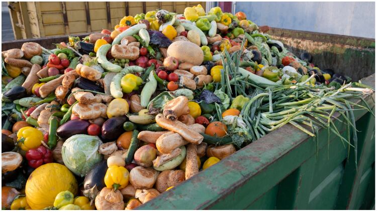 Food-Waste-Getty.jpg