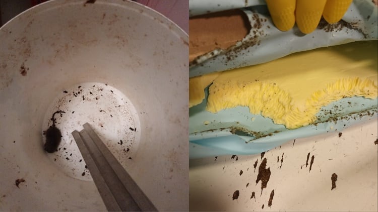Rat infestation leads to fines and bans for food factory owners