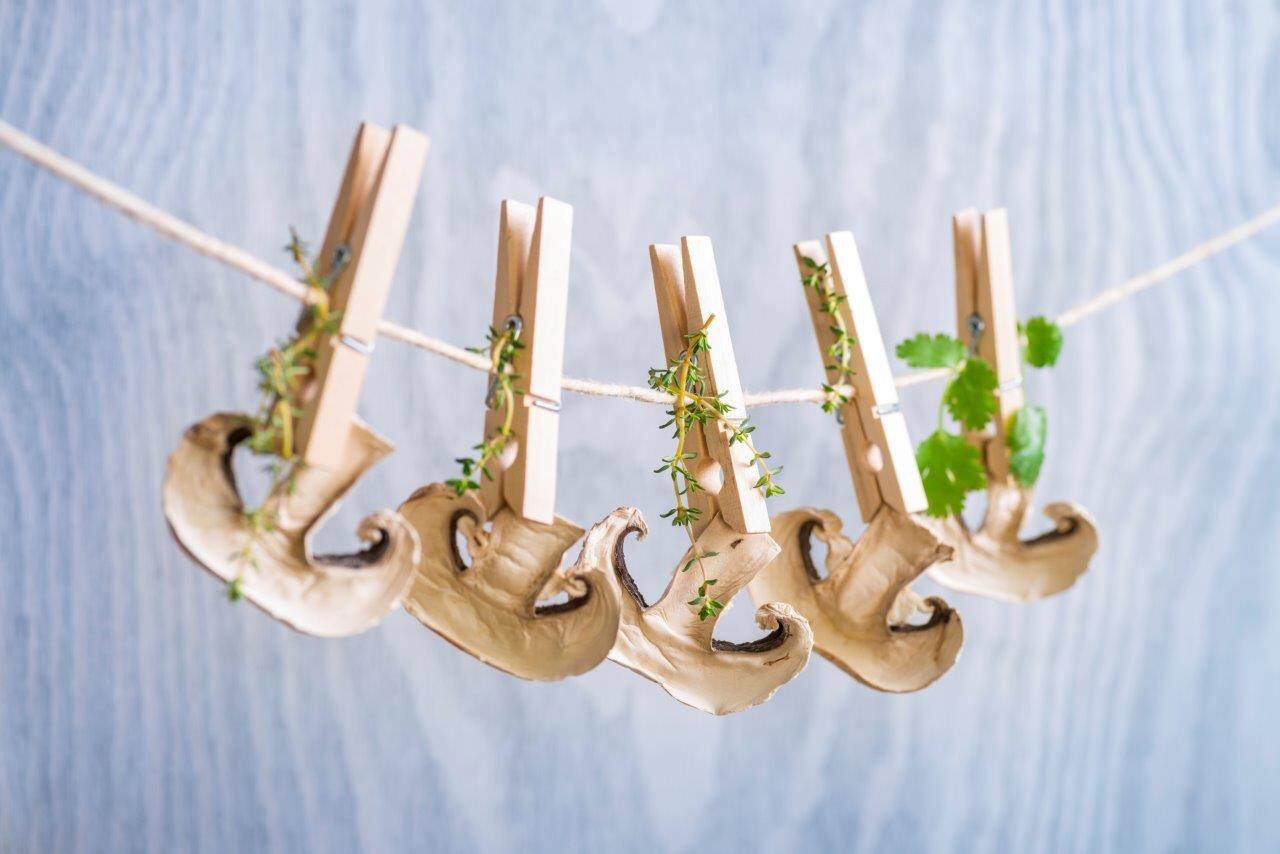 Copyright_Worlee_NaturProdukte_Dried_Champignons.jpg