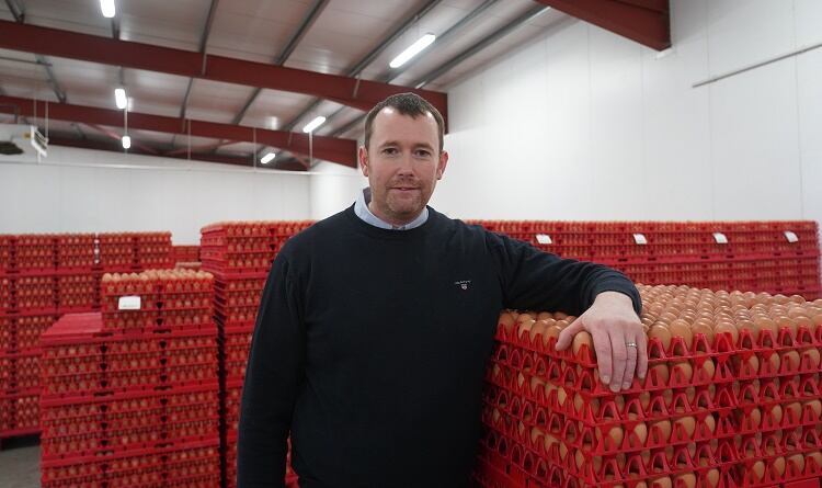 Egg producer rolls out £2.4m AI grading equipment