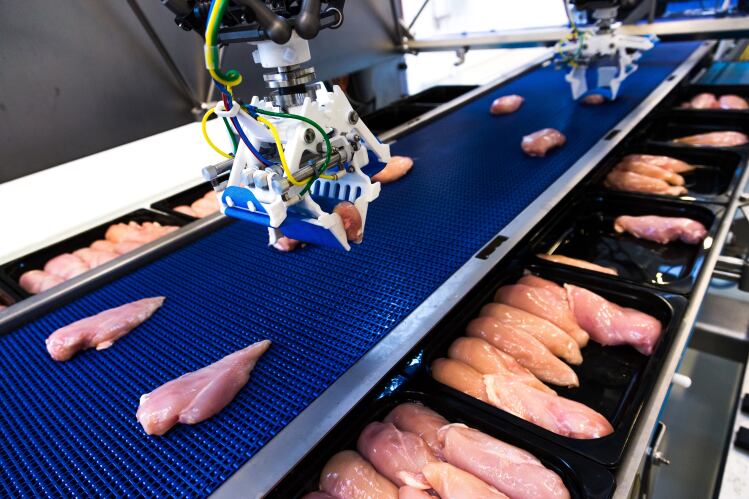 PAGE-3-Marel-Poultry-Robobatcher_Fillets_gripper_3_v3.png