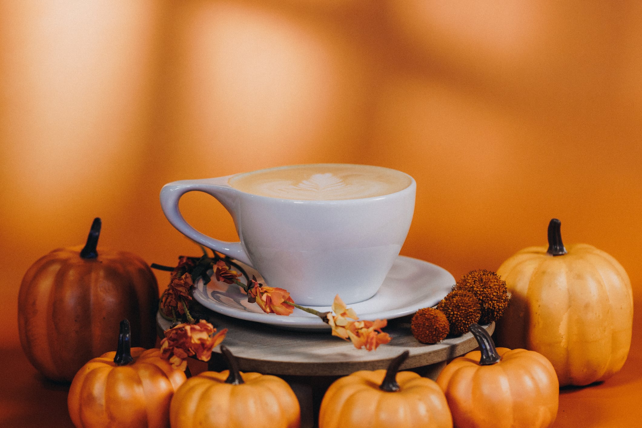 This seasonal favorite blends rich espresso with steamed milk and a perfect balance of pumpkin, cinnamon, nutmeg, and clove.