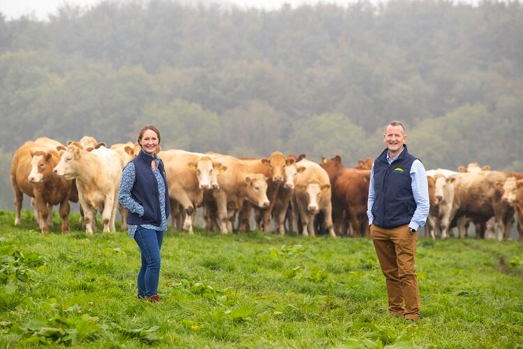 Dawn Meats to invest £90m into sustainability commitments
