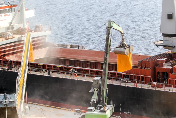 The food supply chain is exposed to shocks.