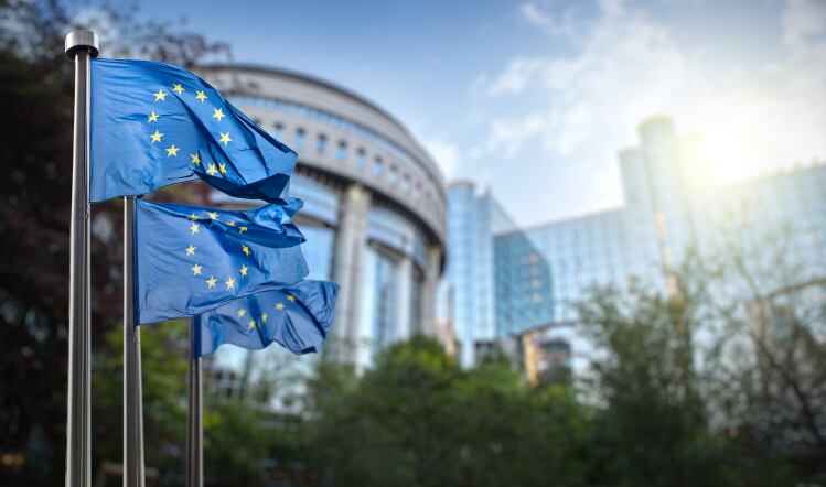 EU chlorates debate to extend into 2020