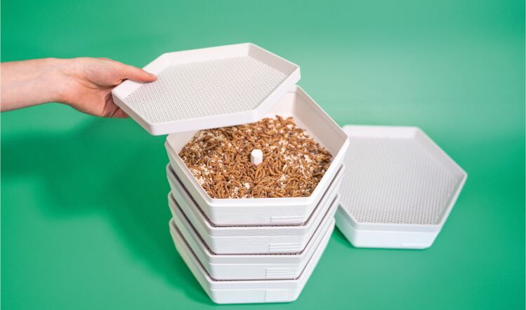 Grow-at-home insect farm breaks crowdfunding goal 