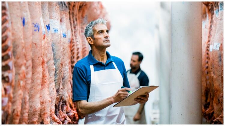 Does meat inspection at small abattoirs need to change?