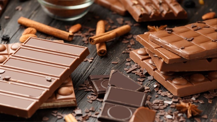 Private label chocolate manufacturer Natra acquires Gudrun