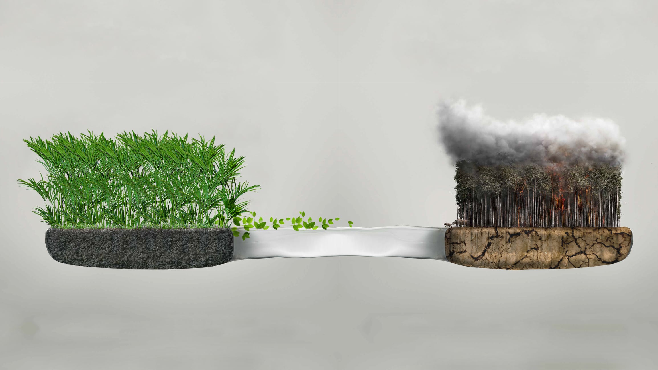 A high-quality conceptual image illustrating the stark contrast between a thriving ecosystem and environmental destruction within a toothbrush silhouette. Perfect for campaigns regarding sustainable living, climate change awareness, or eco-friendly product alternatives.