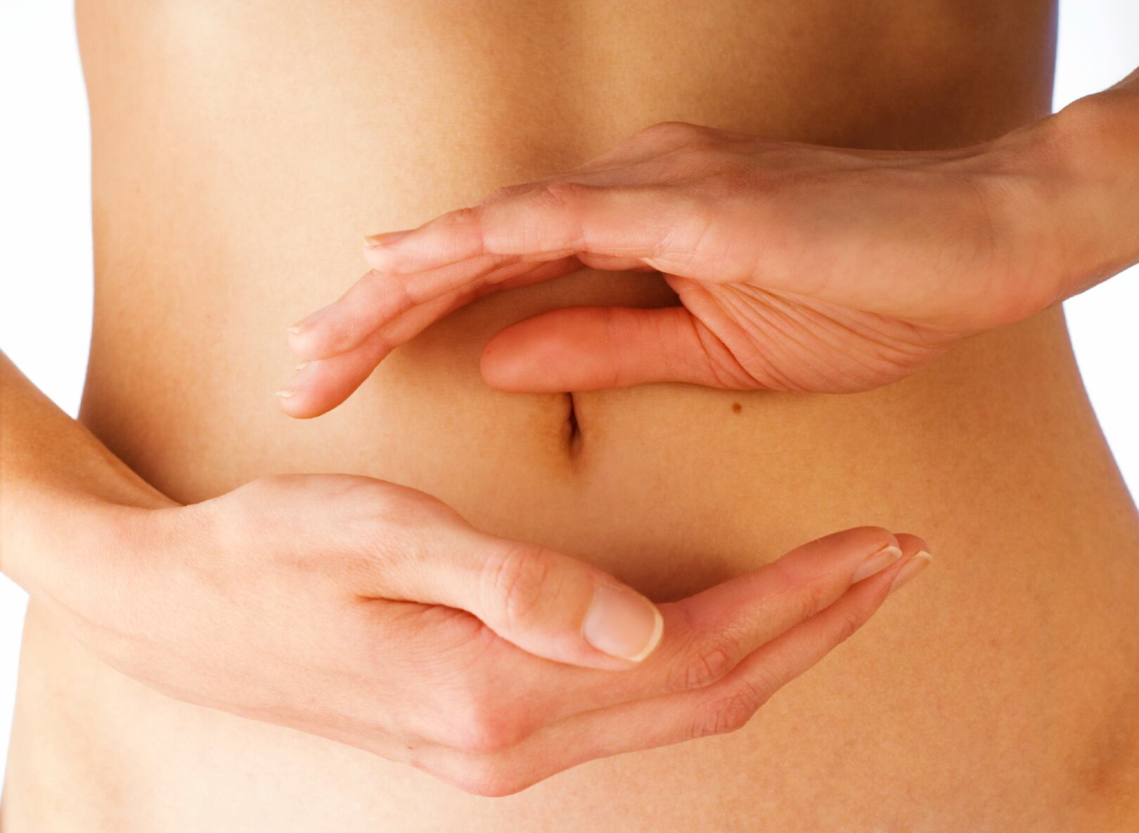 Gut research highlights link between microbes and obesity 