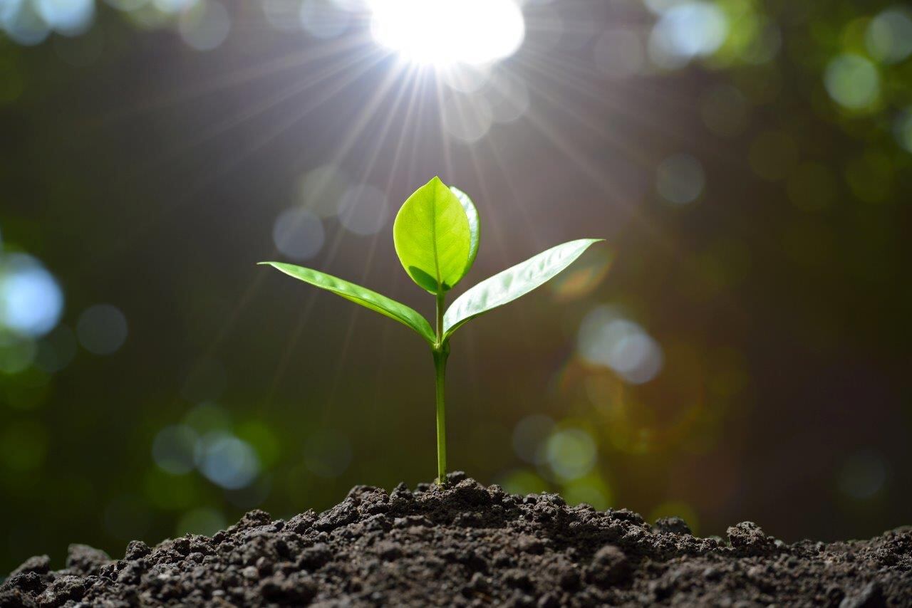 Start-ups encouraged to enter £429k green challenge
