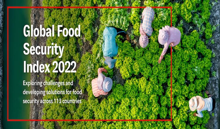Fragile global food system is 'ill prepared'