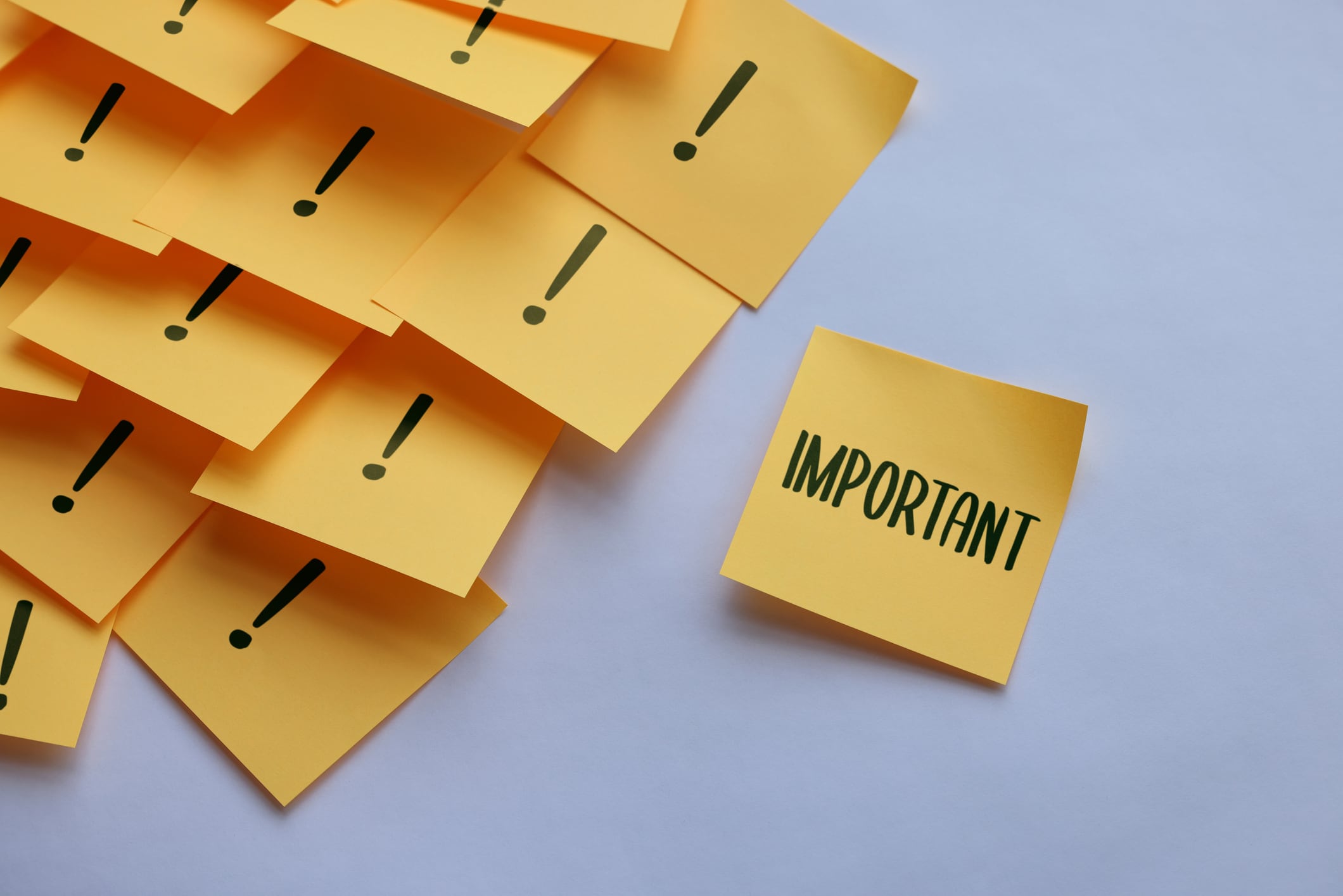 What are UK manufacturers prioritising this year?