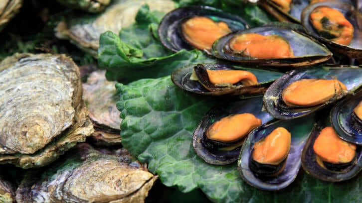 Fibreglass-particles-found-in-oysters-and-mussels.jpg