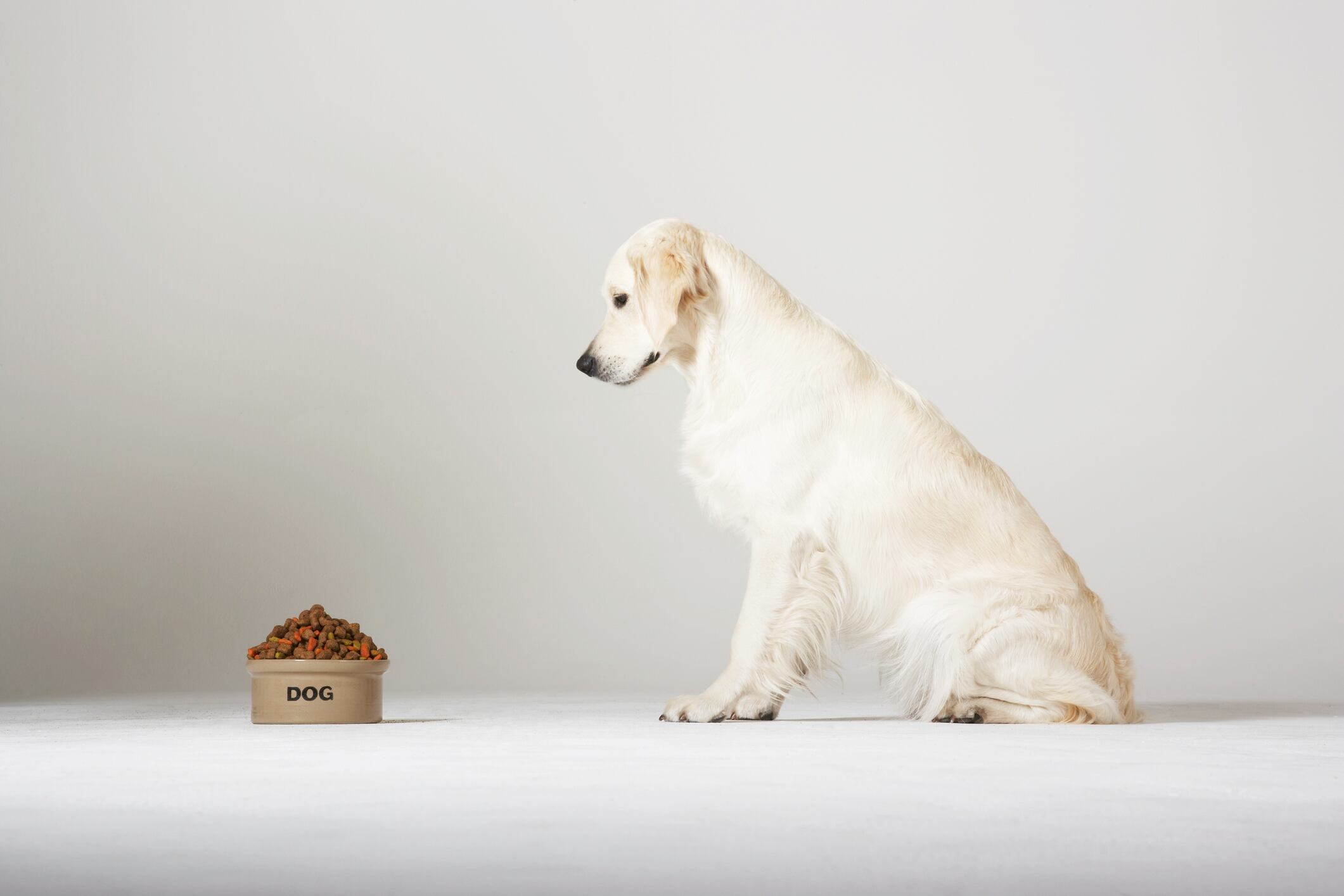 Customers have been advised not to serve the recalled dog food to their pets.