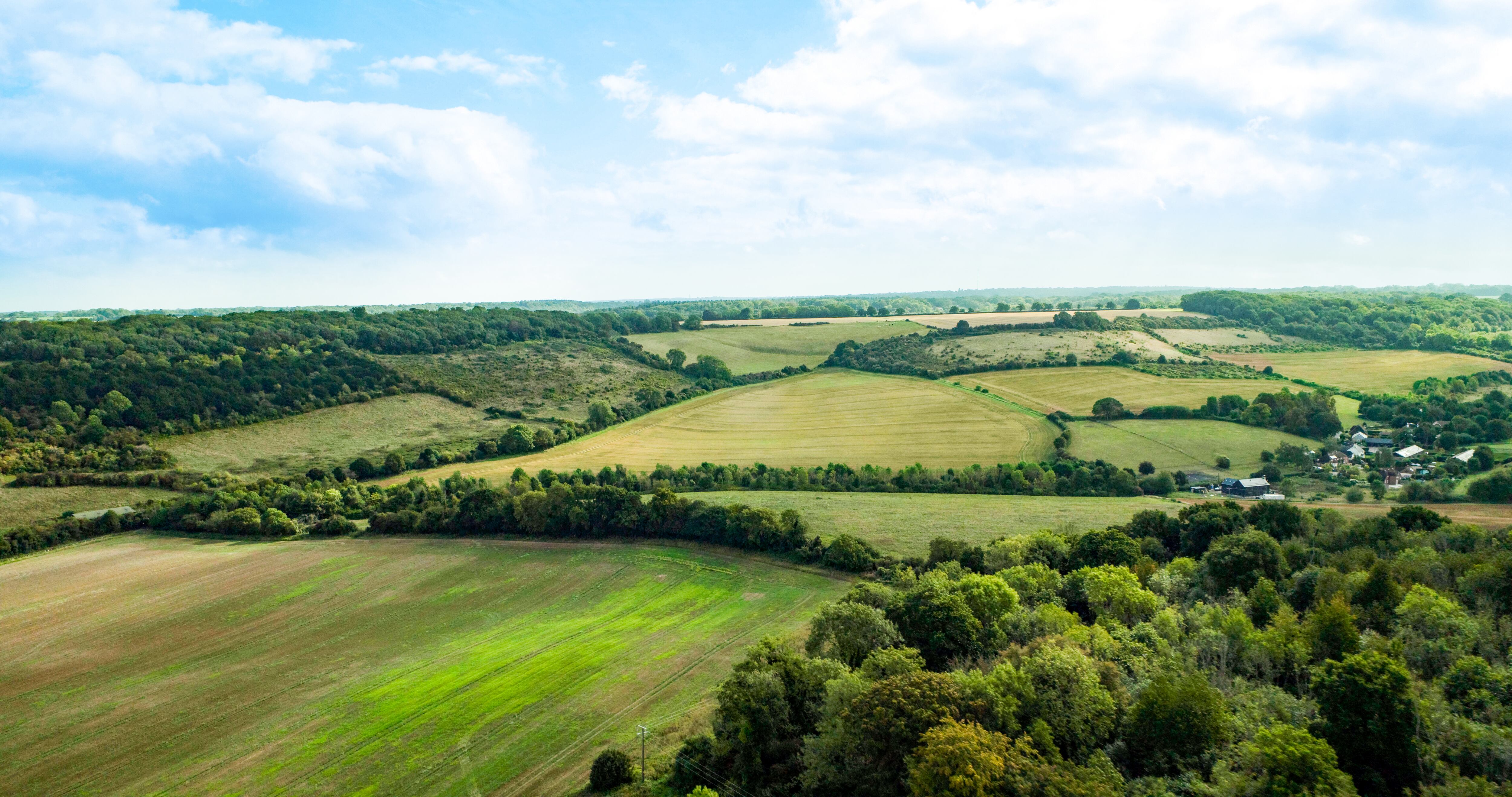 Fields
