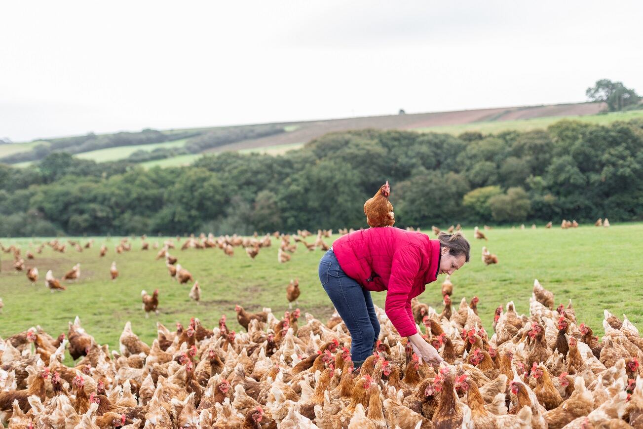 Egg supplier St Ewe launches ambient egg white drink