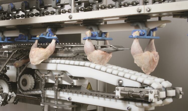 Marel helps Swiss firm to debone thighs 