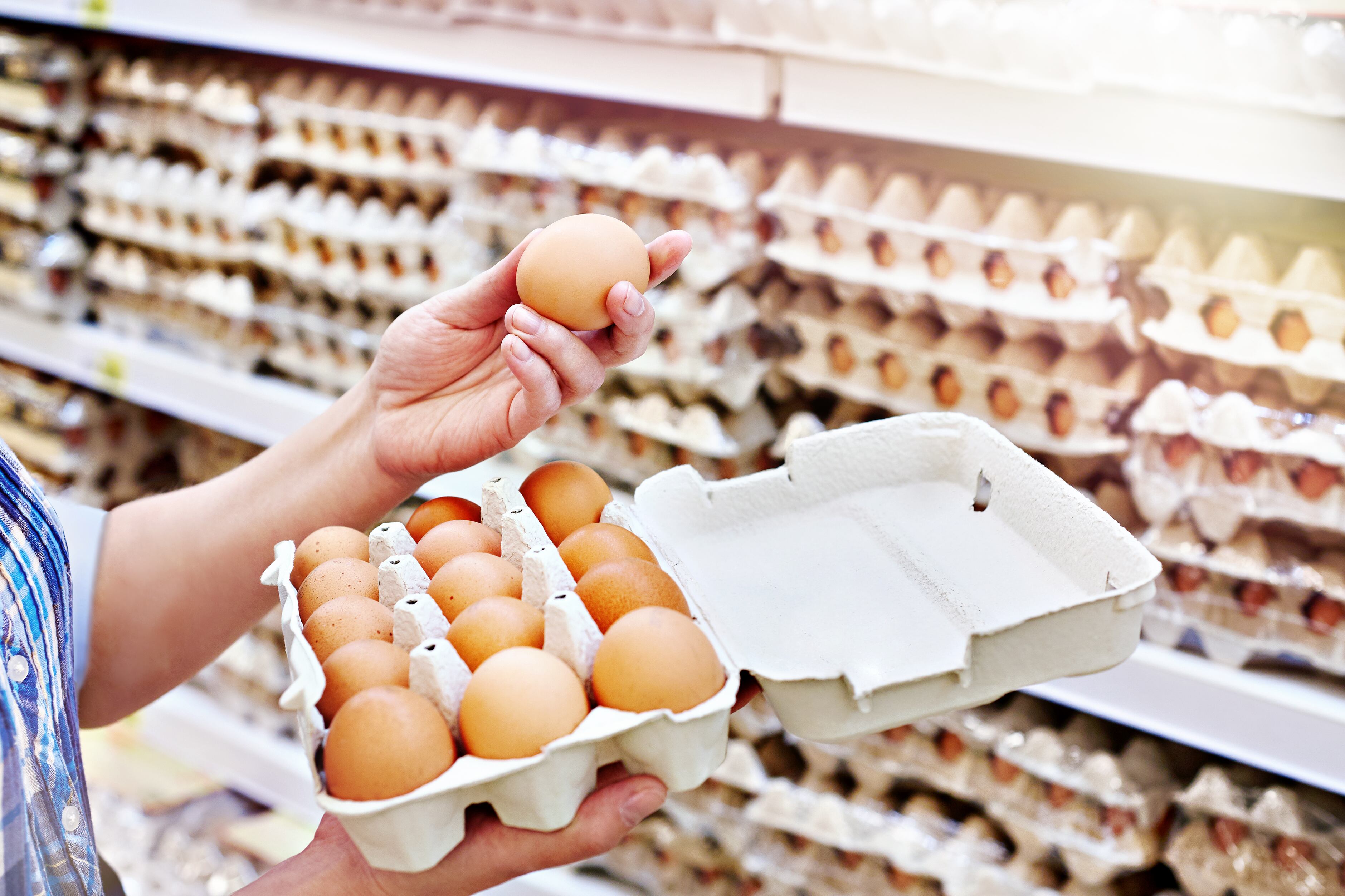 British Egg Industry Council urges UK government to tighten import standards with egg imports linked to food safety issues.